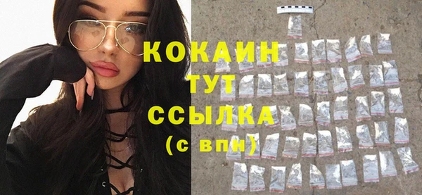 твердый Абаза