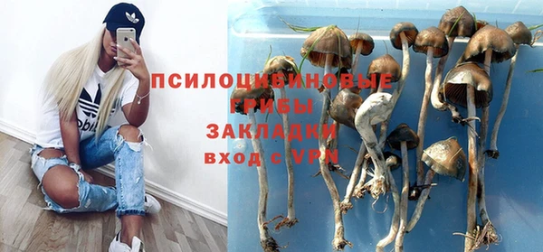 ПСИЛОЦИБИНОВЫЕ ГРИБЫ Абинск